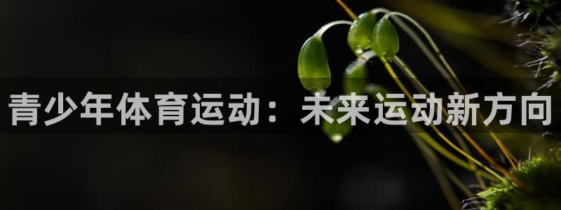 MK体育官网下载软件:青少年体育运动:未来运动新方向
