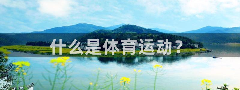 德国MK体育官方正版app集团:什么是体育运动?