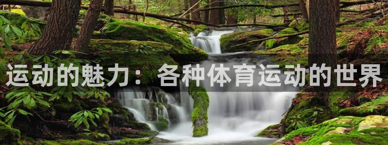 MK体育官网下载招商电话号码:运动的魅力:各种体育运动的世界