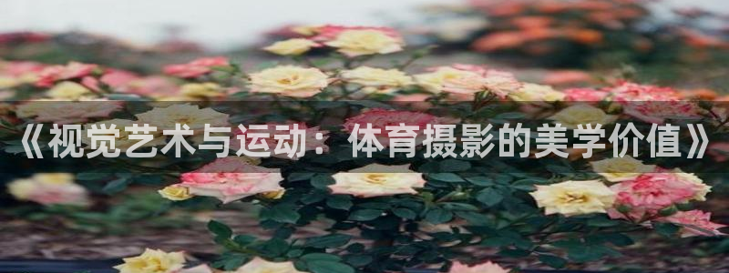 MK体育官方正版app集团:《视觉艺术与运动:体育摄影的美学